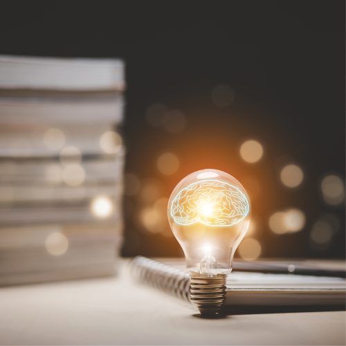 V2_CatagoryPhotos_500x50014 V2_CatagoryPhotos_500x50014